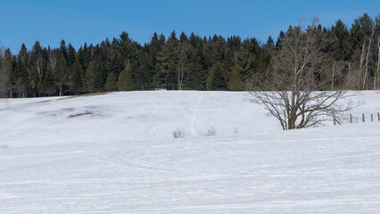 A field covered by white snow in Quebec