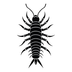 scorpion isolated on white background