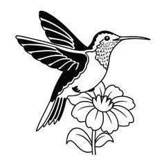 hummingbird and flower