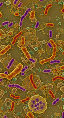 Bacteria and cells on a microscope 