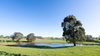 landscape with pond, tree and cloud in Tasmania, Australia