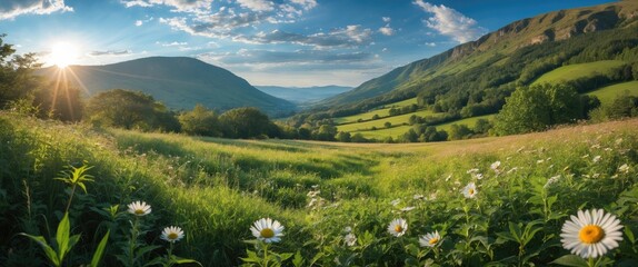 Panoramic view of green hills and fields with wildflowers under a bright sky during sunset with copy space for text