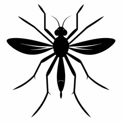 Mosquito vector silhouette black design white background