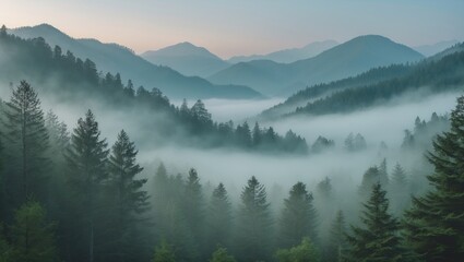 Misty mountain landscape with dense evergreen forest and fog in valleys during sunrise Copy Space