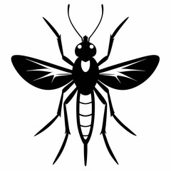 Mosquito vector silhouette black design white background
