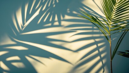 Tropical palm leaf shadows on a light background with copy space for text insertion