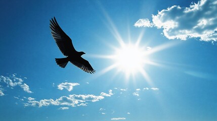 Silhouette of a bird soaring high in a bright sunny sky.