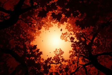 Forest canopy view looking upwards with light through leaves, autumn scenery use