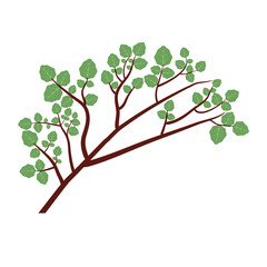 Set of organic minimalist silhouette summer and spring branches with leaves. Simple flower logo design element. Elegant floral twig decoration. Botanical simple. Plant icon set. Vector Graphic. EPS 10