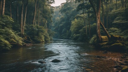 Tranquil river flowing through dense green forest with tall trees and rocky riverbed in soft natural light Copy Space