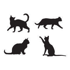 Elegant Black Cat Sitting Against a White Background