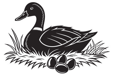 vector illustration of a black duck