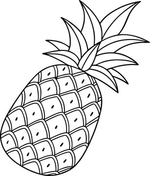 recommend clip art: Simple Line Drawing of a Tropical Pineapple Fruit