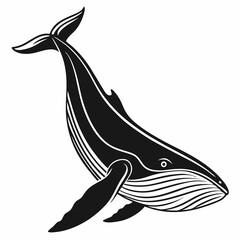 Whale vector silhouette black design white background