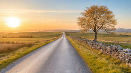 A smooth, winding highway leads into the distance, framed by sprawling fields and a lone tree under a colorful sunset sky