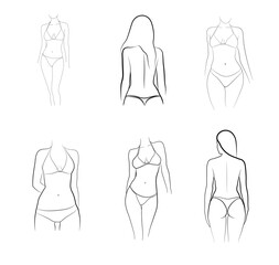 vector illustration of a set of female fashion clothes