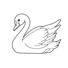 swan coloring 