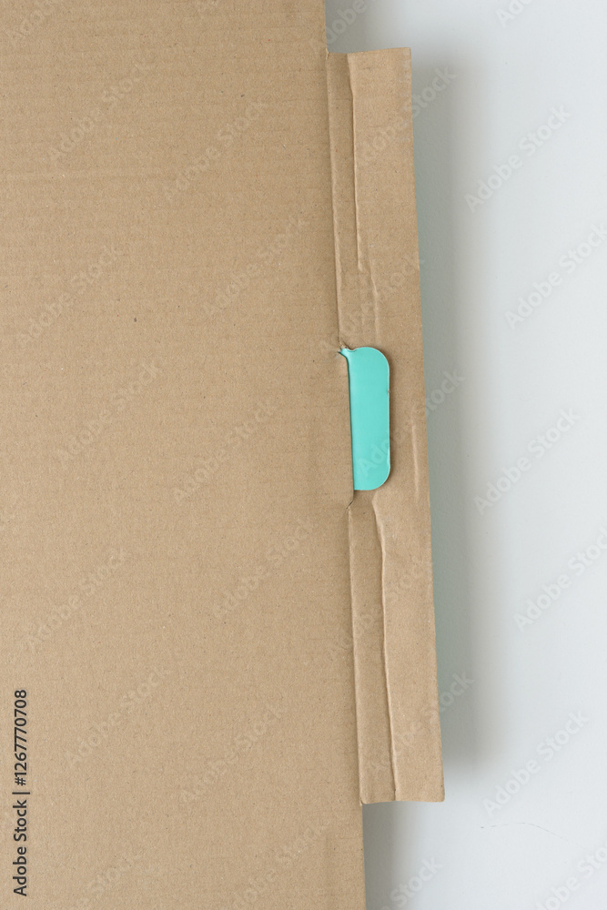 Wall mural blank cardboard packaging