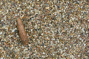 Pine Cone on Colorful Pebbles Background