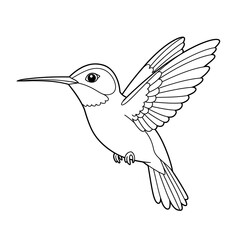 Fototapeta premium hummingbird coloring 
