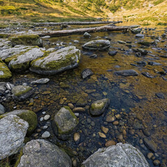 Fresh mountain stream flows peacefully over rocks and pebbles, inviting calmness and reflection in nature embrace