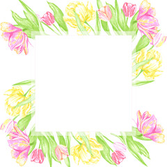 Hand drawn watercolor colorful tulips with green leaves frame border. Illustration of flowers isolated on white background. Can be used for postcard, invitation, scrapbook and other printed products.