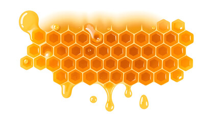 Honeycomb with honey on a white background. Vector illustration.
