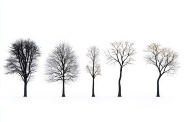 Fototapeta premium Bare Trees in Winter Against a White Background