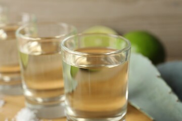 Tequila shots with salt, limes and agave leaves on table, closeup