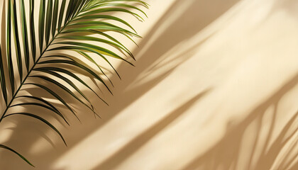 Fototapeta premium A palm leaf casting shadows on a textured wall, creating a serene and natural atmosphere.