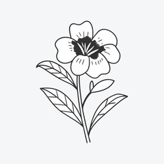 flower vector and image abstract