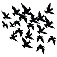 black silhouettes of birds