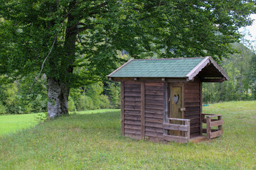Casetta di legno con cuore intagliato nella porta nel prato di erba sotto albero frondoso in montagna