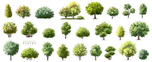  Vector watercolor green  tree or forest side view isolated on white background for landscape and architecture drawing,elements for environment or and garden,Shrub for section