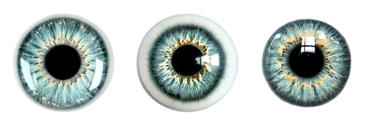 Set of various alligator skull with graffiti on it  isolated on transparent background.