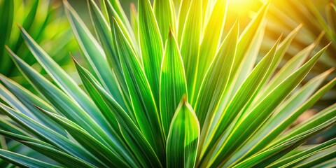 A Close-Up View of Vibrant Green Leaves Bathed in Warm Sunlight, Exposing Detailed Veins and a Natural Texture
