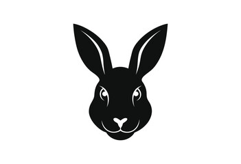 rabbit isolated on white background