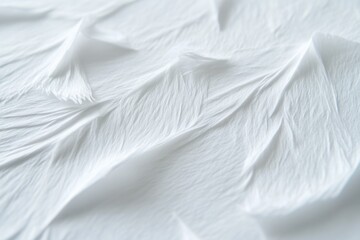Obraz premium white feather abstract background