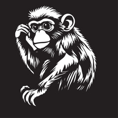 monkey vector