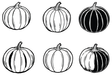 a detailed vector line illustration of a pumpkin with