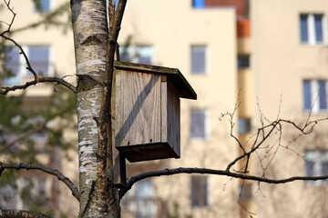 Nest box attached to a tree trunk in a park in a housing estate