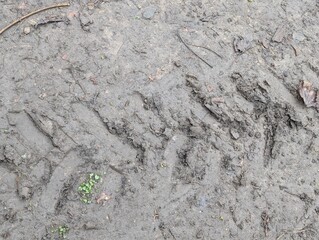 A single tyre track in mud