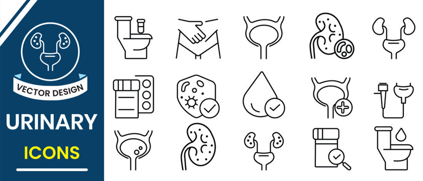 Urinary system icon vector set illustration. Linear icons of bladder control issues, diagnostics, bladder leakage symptoms, and urine lab tests. Outline of urinary system, kidney,  bladder,  gland.
