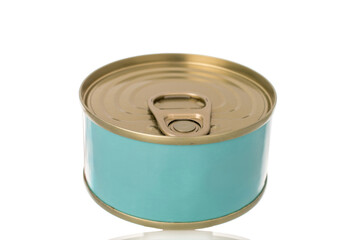 One metal can of fish, close-up, isolated on a white background.