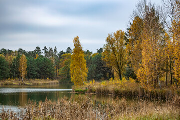Jesienny krajobraz w Owińska - stawy powyrobiskowe