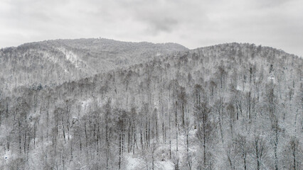 Aerial or elevated view of tree-covered hills blanketed in snow during winter, with a soft, cloudy sky above. T