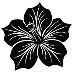 Hibiscus black and white flower vector