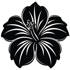 Hibiscus black and white flower vector