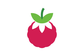 vector illustration of an lichee icon