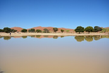 Wasser im Sossusvlei
